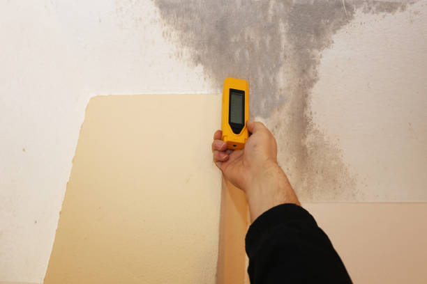 Best Water Damage & Mold Remediation  in Farley, IA