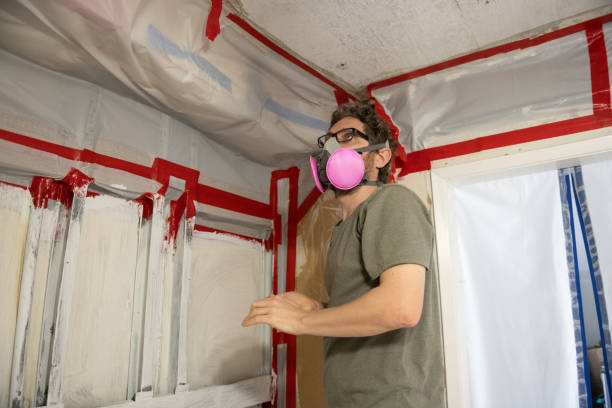 Farley, IA Mold Removal Company