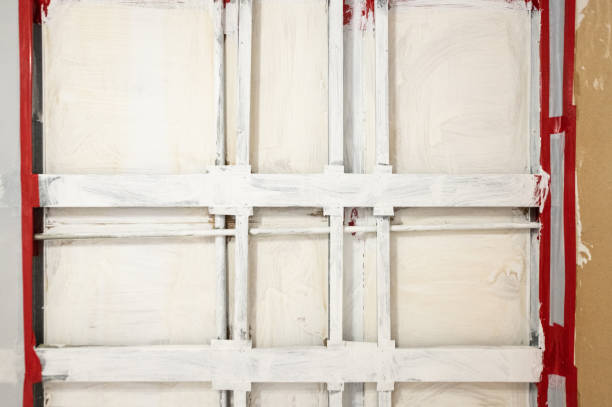 Best Forensic Mold Investigation  in Farley, IA