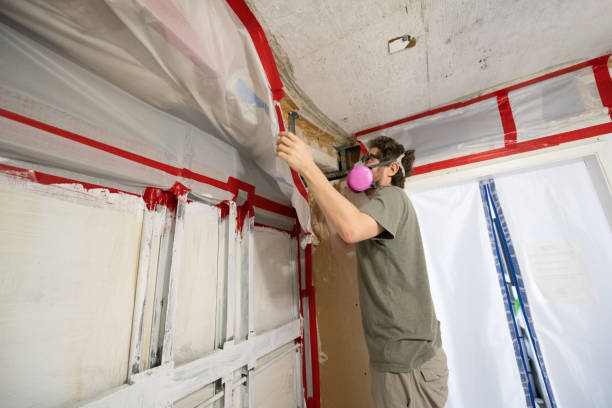 Best Emergency Mold Remediation  in Farley, IA