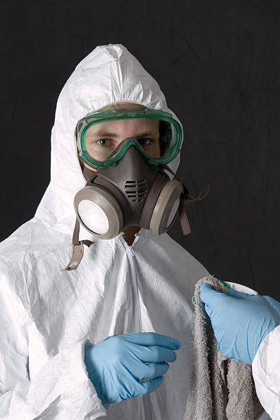 Best Black Mold Removal  in Farley, IA